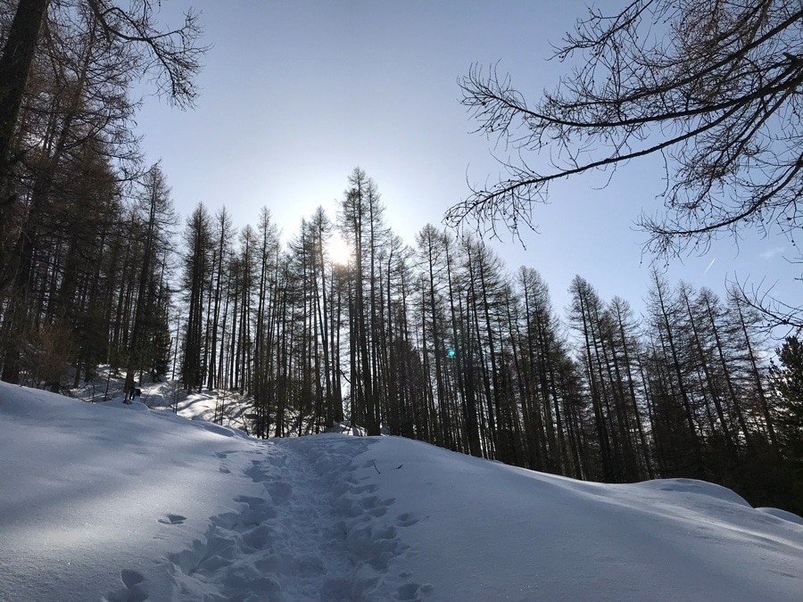 week-end hautes alpes studio naia