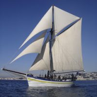 la flaneuse
